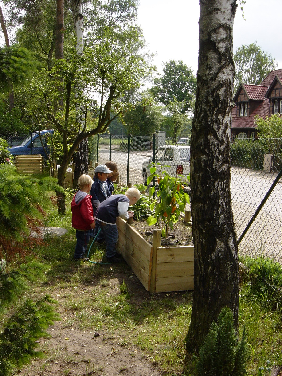 Naturkindergarten Wedel | Klara Samariter – Stiftung